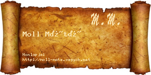 Moll Máté névjegykártya